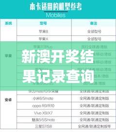 新澳开奖结果记录查询表,迅速解答问题_3K8.676