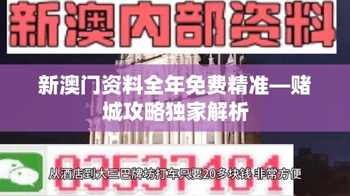 新澳门资料全年免费精准—赌城攻略独家解析