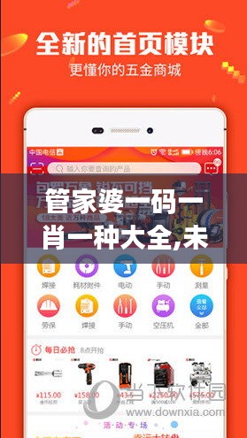 管家婆一码一肖一种大全,未来解答解释定义_ios2.335