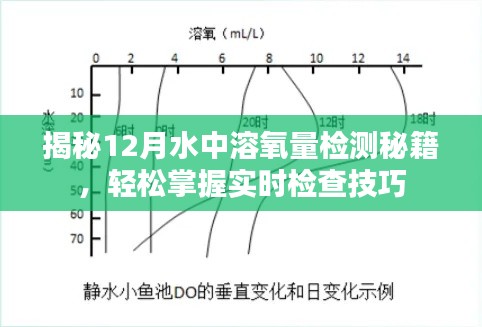 揭秘水中溶氧量检测秘籍，掌握实时检查技巧，轻松应对12月挑战