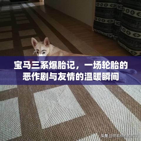 宝马三系轮胎恶作剧背后的友情瞬间与暖心记忆