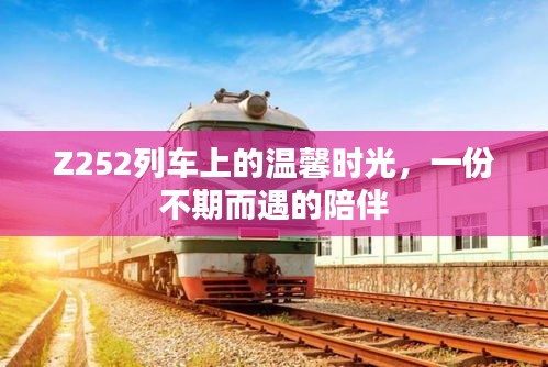 Z252列车上的意外陪伴，温馨时光之旅