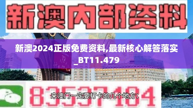 新澳2024正版免费资料,最新核心解答落实_BT11.479