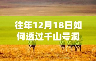 往年12月18日如何通过千山号洞悉实时动态，深度分析与案例解读