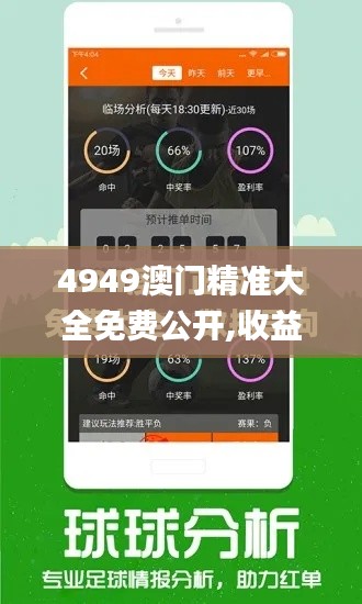 4949澳门精准大全免费公开,收益成语分析落实_尊享版3.875