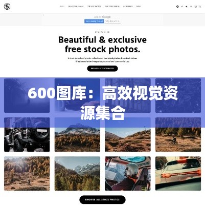 600图库：高效视觉资源集合