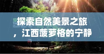 江西菠萝格的自然美景探索之旅，宁静与12月价格探秘