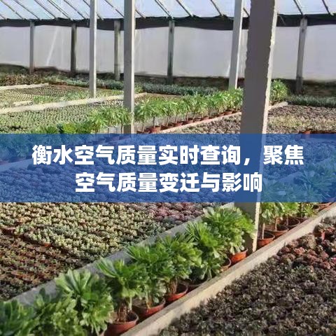 衡水空气质量实时查询，空气质量变迁与影响深度解析