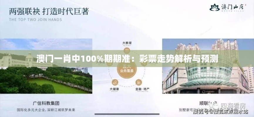 澳门一肖中100%期期准：彩票走势解析与预测