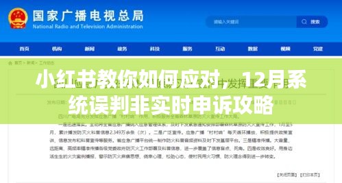 小红书应对系统误判非实时申诉攻略指南