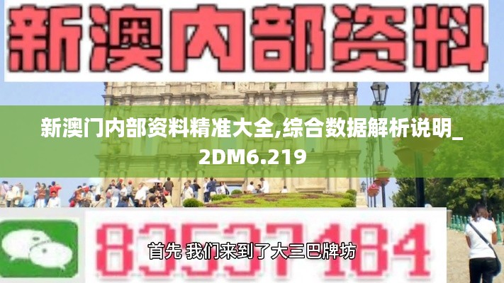 新澳门内部资料精准大全,综合数据解析说明_2DM6.219