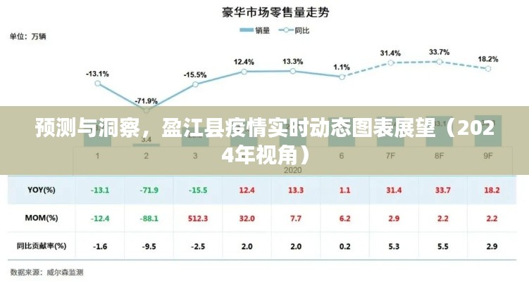 盈江县疫情实时动态图表展望，预测与洞察（至2024年视角）