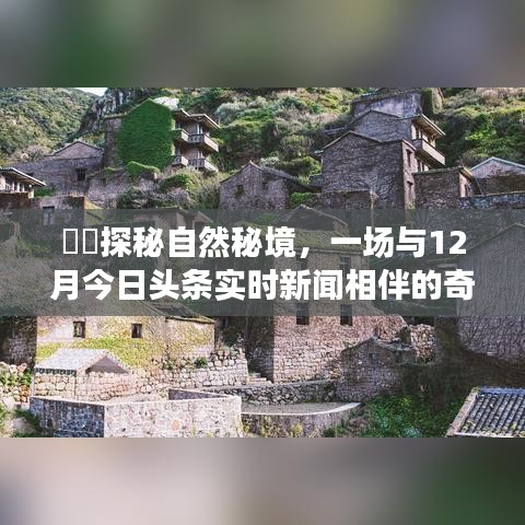 探秘自然秘境，与今日头条实时新闻相伴的奇妙旅程