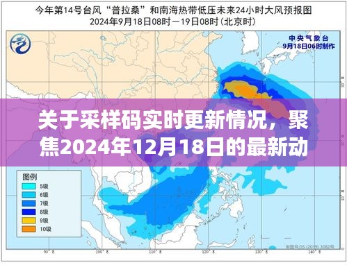 聚焦最新动态，采样码实时更新情况报告（2024年12月18日更新）