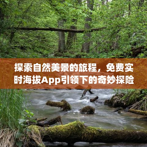 自然美景探索之旅，实时海拔App引领的奇妙探险之旅