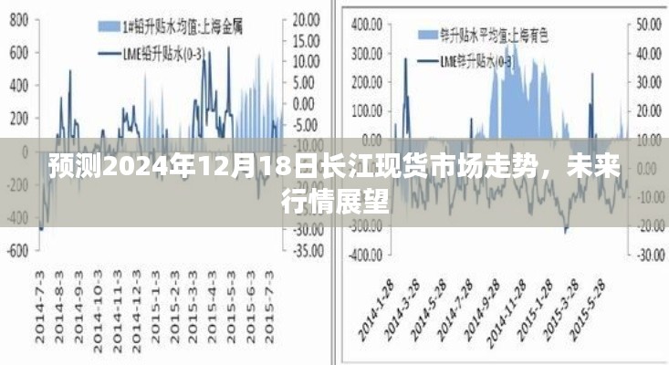 2024年12月20日 第13页