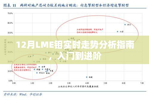 从入门到进阶，12月LME钼实时走势分析全攻略