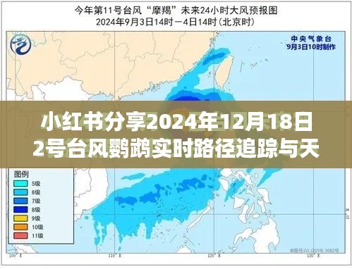 小红书分享，台风鹦鹉实时路径追踪与天气预报（2024年12月18日）