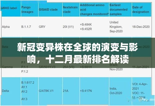 全球新冠变异株最新排名解读，演变与影响分析（十二月版）