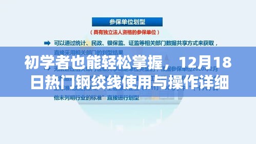 初学者也能轻松掌握，钢绞线使用与操作详细步骤指南（12月18日版）