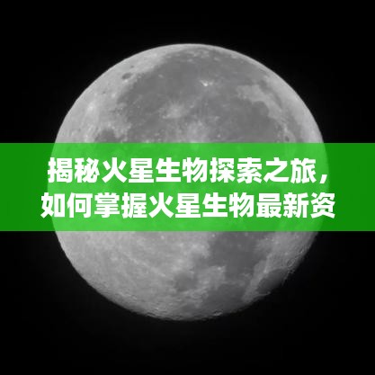 揭秘火星生物探索之旅，掌握最新资讯与技能，聚焦2024年火星探索之旅