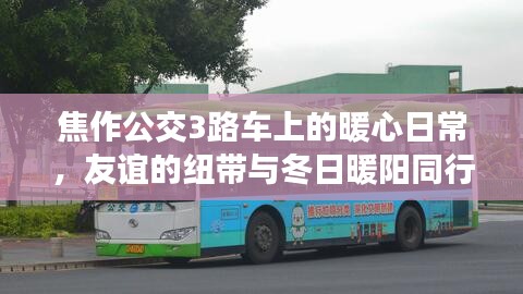 焦作公交3路车上的暖心日常，友谊与冬日暖阳共融