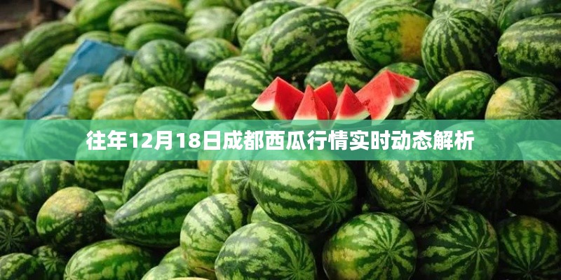 成都西瓜行情实时动态解析，历年12月18日市场走势回顾