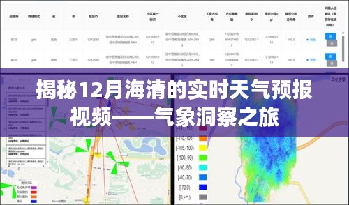 揭秘海清实时天气预报视频，气象洞察之旅