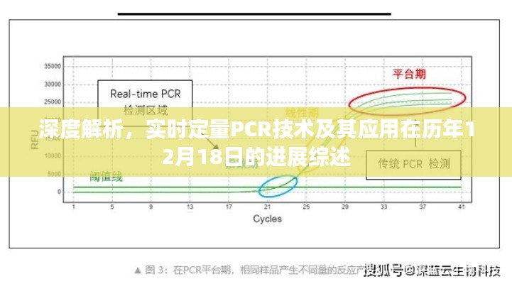 深度解析，实时定量PCR技术在历年12月18日的进展综述及其应用领域探讨