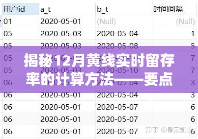 揭秘12月黄线实时留存率的计算方法与要点详解