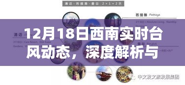 12月18日西南实时台风动态，深度解析与案例分析报告