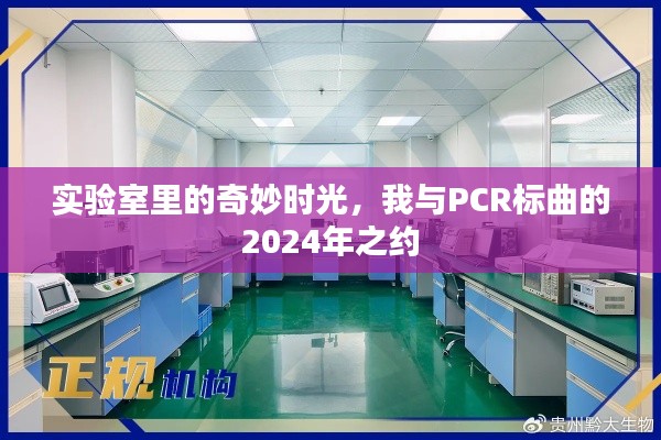 实验室里的PCR标曲之旅，开启2024年奇妙时光之约