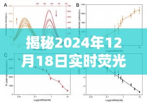 揭秘实时荧光定量空白浓度，深度解析与应用指南（针对2024年12月18日）