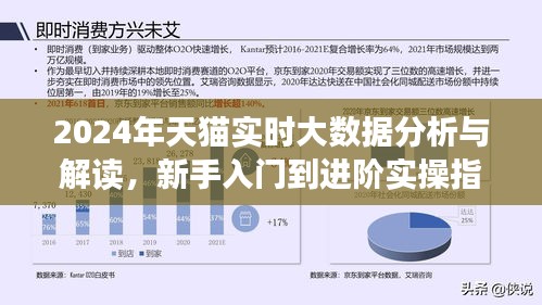 天猫实时大数据分析实操指南，从新手入门到进阶实操指南（2024版）