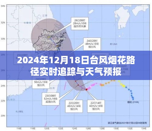 2024年12月21日 第3页