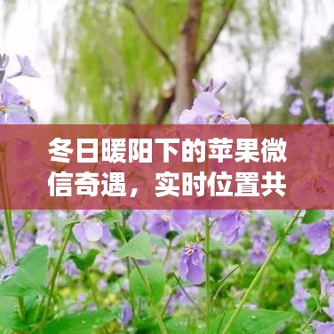 冬日暖阳下的微信奇遇，苹果用户实时位置共享，共度温馨时光