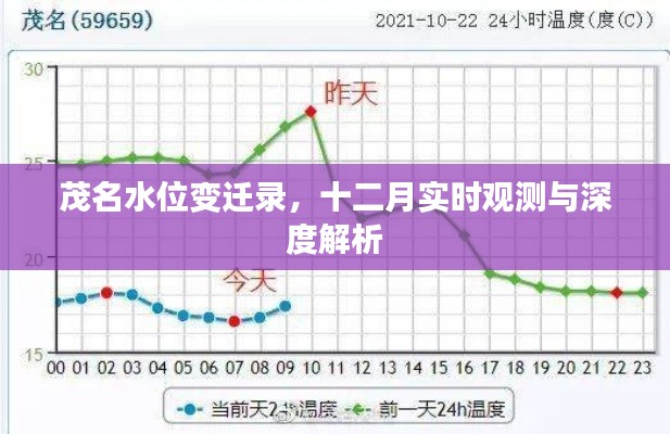 茂名水位变迁录，十二月实时观测与深度解析报告