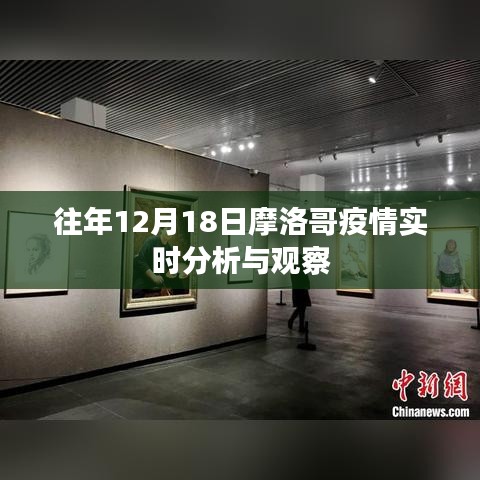 摩洛哥疫情动态，历年12月18日实时分析与观察