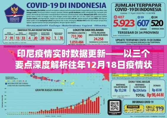 印尼疫情深度解析，往年12月18日疫情状况与实时数据更新报告