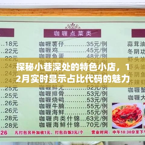 探秘小巷深处的特色小店，揭秘十二月实时占比代码的魅力之旅