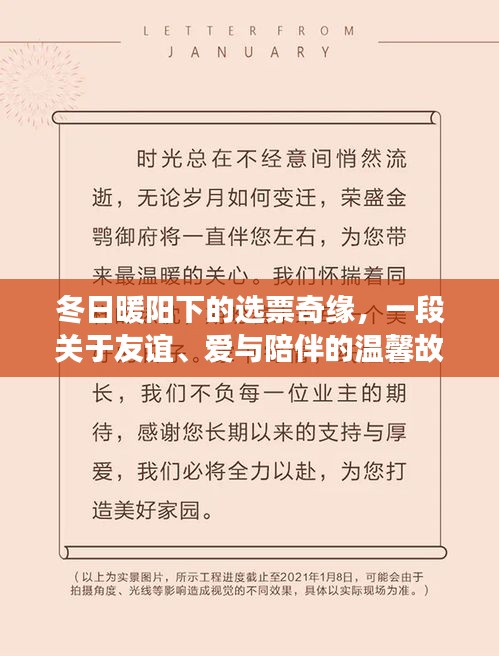 冬日暖阳下的选票奇缘，友谊、爱与陪伴的温馨篇章