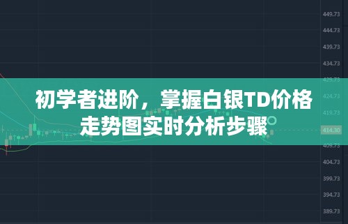 初学者进阶指南，掌握白银TD价格走势图实时分析步骤