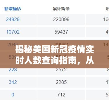 揭秘美国新冠疫情实时人数查询指南，从入门到进阶的技能进阶之路