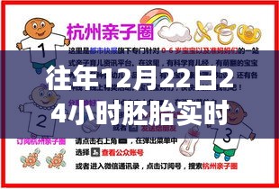 探索生命奇迹，往年12月22日胚胎实时观测之旅