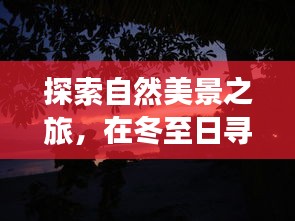 冬至心灵之旅，探寻自然美景与内心宁静的别样图案