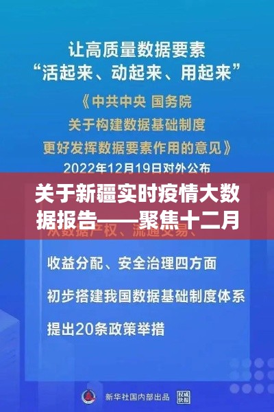 2024年12月23日 第11页