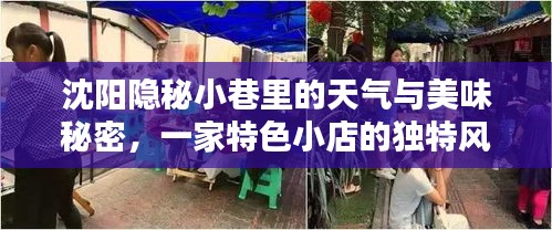 沈阳隐秘小巷美食探秘，天气与美味交织，特色小店的独特风情之旅