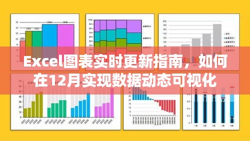 Excel图表实时更新指南，实现数据动态可视化，助力年终报表高效呈现