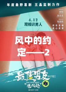 风友相聚，2024年12月22日的风中约定故事