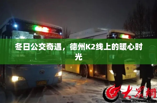 冬日德州K2线上的暖心公交奇遇记